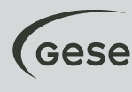 Logo GESE